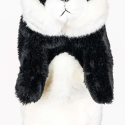 Panda-13